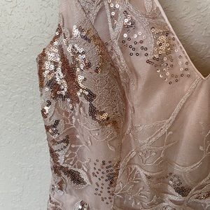 Stunning Blush Sequin Calvin Klein Formal Dress